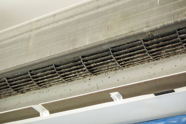 Best Air Duct Cleaning Company Near Me  in Ladera, CA